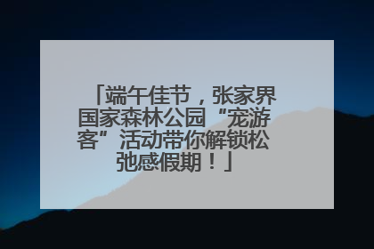 端午佳节，张家界国家森林公园“宠游客”活动带你解锁松弛感假期！