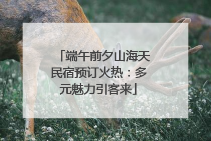 端午前夕山海天民宿预订火热：多元魅力引客来