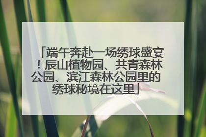 端午奔赴一场绣球盛宴！辰山植物园、共青森林公园、滨江森林公园里的绣球秘境在这里