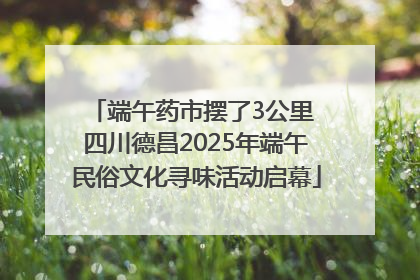 端午药市摆了3公里 四川德昌2025年端午民俗文化寻味活动启幕