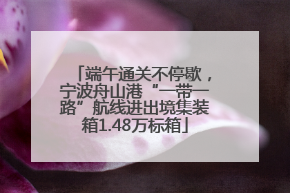 端午通关不停歇，宁波舟山港“一带一路”航线进出境集装箱1.48万标箱