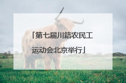 第七届川籍农民工运动会北京举行