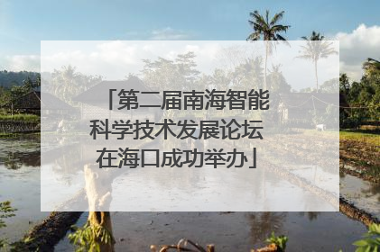 第二届南海智能科学技术发展论坛在海口成功举办