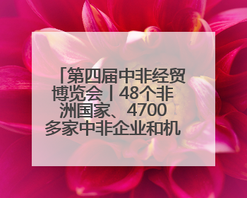 第四届中非经贸博览会丨48个非洲国家、4700多家中非企业和机构将参会