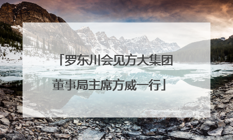 罗东川会见方大集团董事局主席方威一行