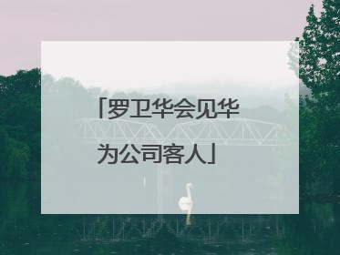 罗卫华会见华为公司客人