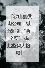 罗山县供电公司：纵深推进“两个度” 撑起监督大格局