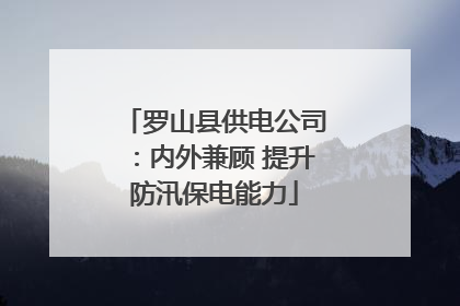 罗山县供电公司：内外兼顾 提升防汛保电能力