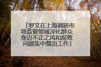罗文在上海调研市场监管领域深化群众身边不正之风和腐败问题集中整治工作