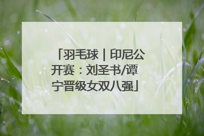 羽毛球｜印尼公开赛：刘圣书/谭宁晋级女双八强