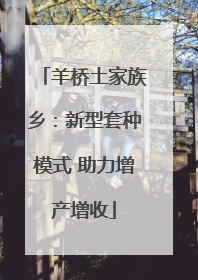 羊桥土家族乡：新型套种模式 助力增产增收