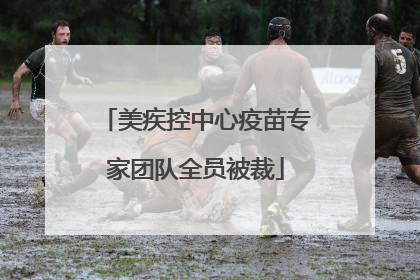 美疾控中心疫苗专家团队全员被裁