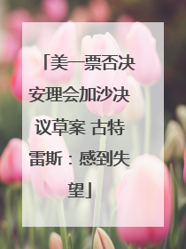 美一票否决安理会加沙决议草案 古特雷斯：感到失望
