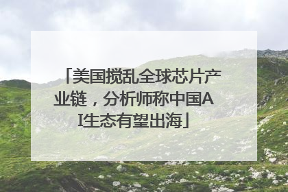 美国搅乱全球芯片产业链，分析师称中国AI生态有望出海
