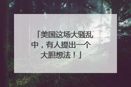美国这场大骚乱中，有人提出一个大胆想法！
