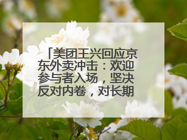 美团王兴回应京东外卖冲击：欢迎参与者入场，坚决反对内卷，对长期很有信心