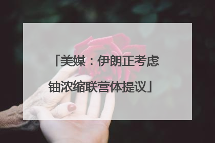 美媒：伊朗正考虑铀浓缩联营体提议