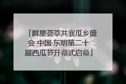 群星荟萃共襄瓜乡盛会 中国·东明第二十届西瓜节开幕式启幕