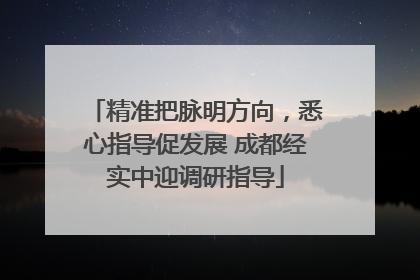 精准把脉明方向，悉心指导促发展 成都经实中迎调研指导