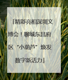 精彩亮相深圳文博会！聊城东昌府区“小葫芦”焕发数字新活力