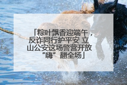 粽叶飘香迎端午，反诈同行护平安 立山公安这场警营开放“嗨”翻全场
