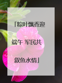 粽叶飘香迎端午 军民共叙鱼水情