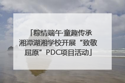 粽情端午·童趣传承 湘潭湖湘学校开展“致敬屈原”PDC项目活动