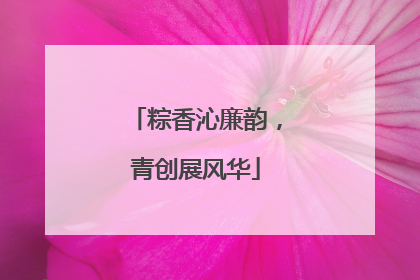 粽香沁廉韵，青创展风华