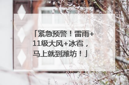紧急预警！雷雨+11级大风+冰雹，马上就到潍坊！