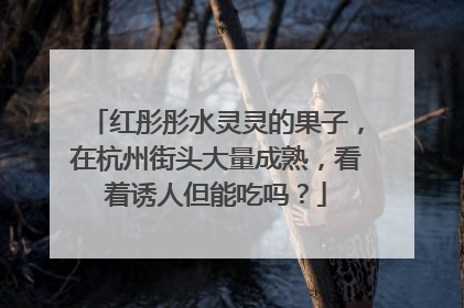 红彤彤水灵灵的果子，在杭州街头大量成熟，看着诱人但能吃吗？
