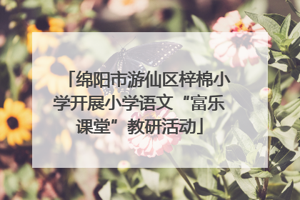 绵阳市游仙区梓棉小学开展小学语文“富乐课堂”教研活动
