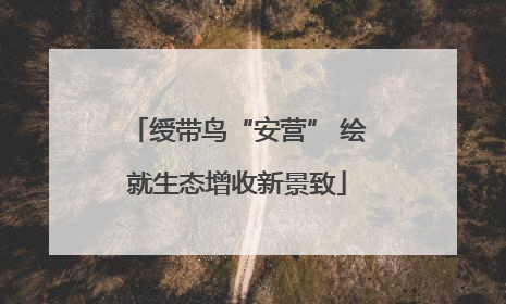 绶带鸟“安营” 绘就生态增收新景致