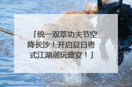 统一双萃功夫节空降长沙！开启夏日粤式江湖潮玩盛宴！