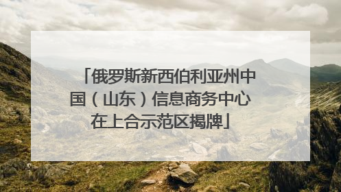 俄罗斯新西伯利亚州中国（山东）信息商务中心在上合示范区揭牌