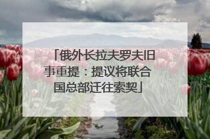俄外长拉夫罗夫旧事重提：提议将联合国总部迁往索契
