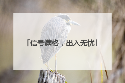 信号满格，出入无忧