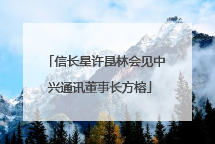 信长星许昆林会见中兴通讯董事长方榕