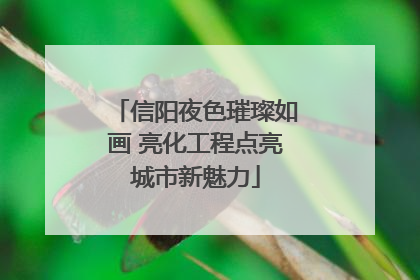 信阳夜色璀璨如画 亮化工程点亮城市新魅力