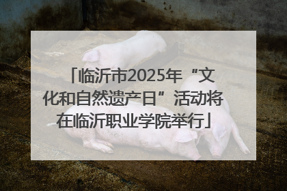 临沂市2025年“文化和自然遗产日”活动将在临沂职业学院举行
