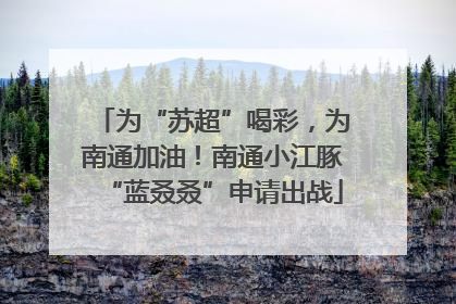 为“苏超”喝彩，为南通加油！南通小江豚“蓝叒叒”申请出战