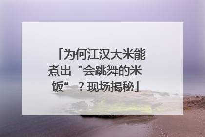 为何江汉大米能煮出“会跳舞的米饭”？现场揭秘