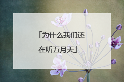 为什么我们还在听五月天