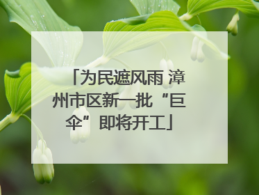 为民遮风雨 漳州市区新一批“巨伞”即将开工