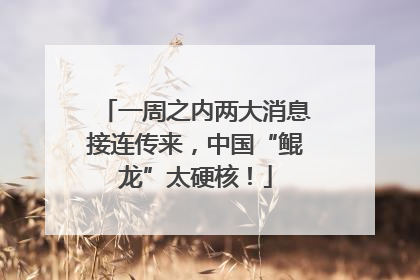 一周之内两大消息接连传来，中国“鲲龙”太硬核！