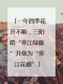 一年四季花开不断，三阳路“垂江绿廊”升级为“垂江花廊”