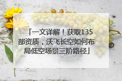 一文详解！获取135部资质，沃飞长空如何布局低空场景三阶路径