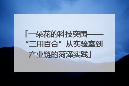 一朵花的科技突围——“三用百合”从实验室到产业链的菏泽实践