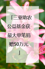 三亚助农公益基金获最大单笔捐赠50万元