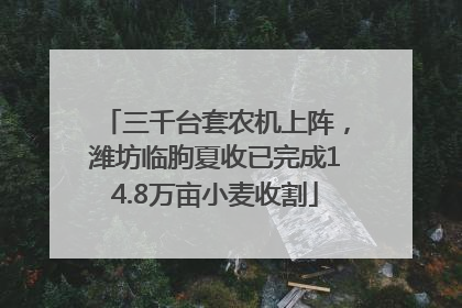 三千台套农机上阵，潍坊临朐夏收已完成14.8万亩小麦收割