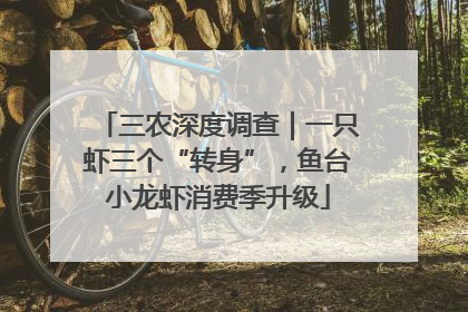 三农深度调查｜一只虾三个“转身”，鱼台小龙虾消费季升级
